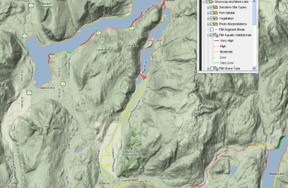 Lower Shuswap River