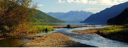 Slocan Lake Habitat Atlas