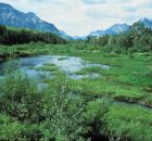 BC Wetlands Atlas