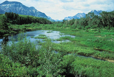 BC Wetlands Atlas