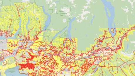 Lower Fraser Streams Update 2020/21