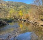 LOUIS CREEK SENSITIVE HABITAT ATLAS