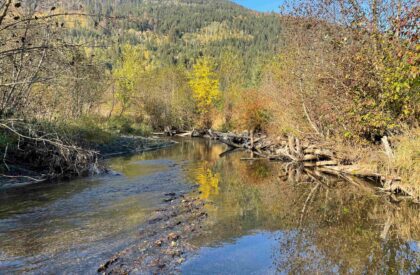 LOUIS CREEK SENSITIVE HABITAT ATLAS